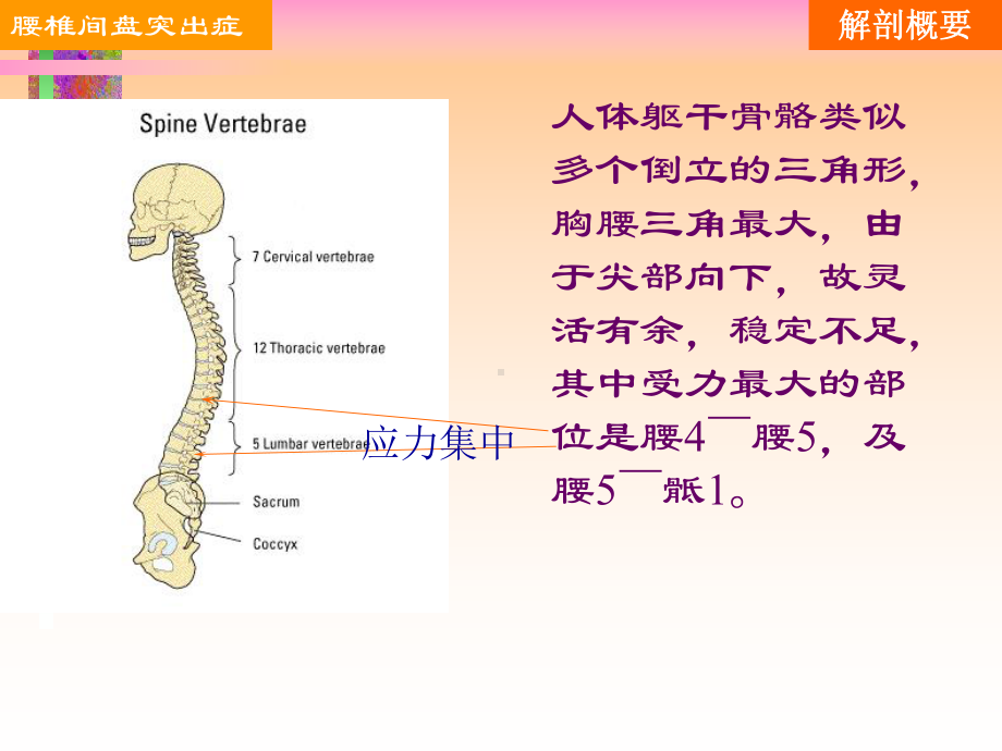 （管理资料）腰椎间盘突出的护理查房汇编课件.ppt_第2页