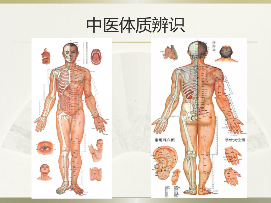 中医药健康讲座课件.pptx_第2页