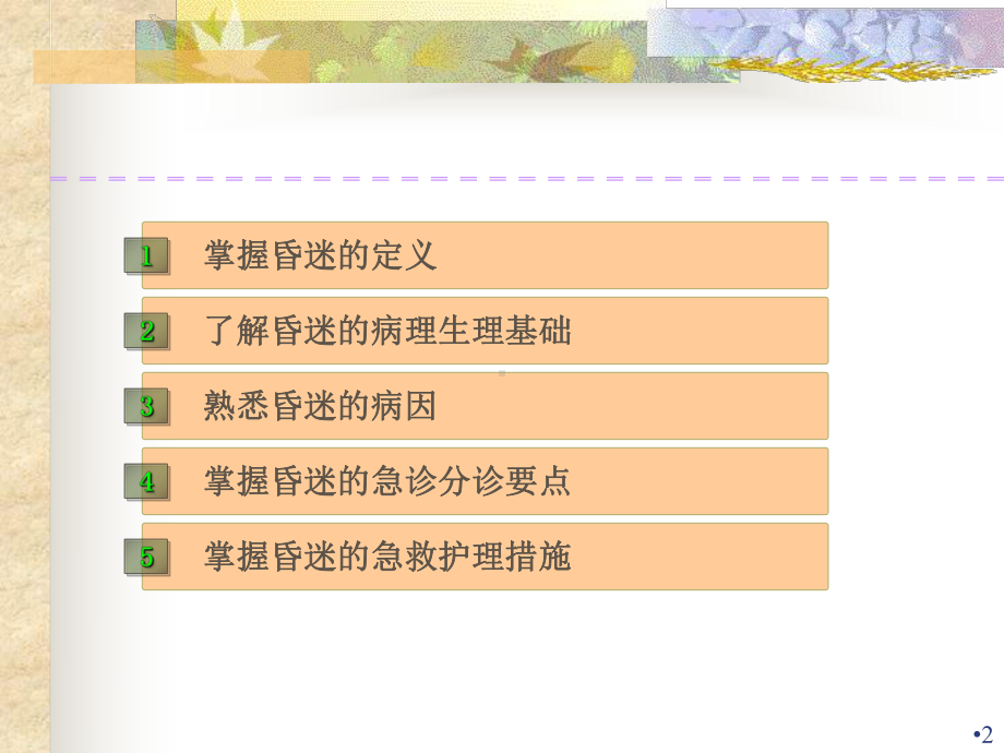 昏迷的急救护理学习课件.ppt_第2页