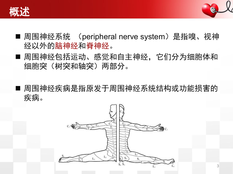 医学课件-周围神经病教学课件.ppt_第3页