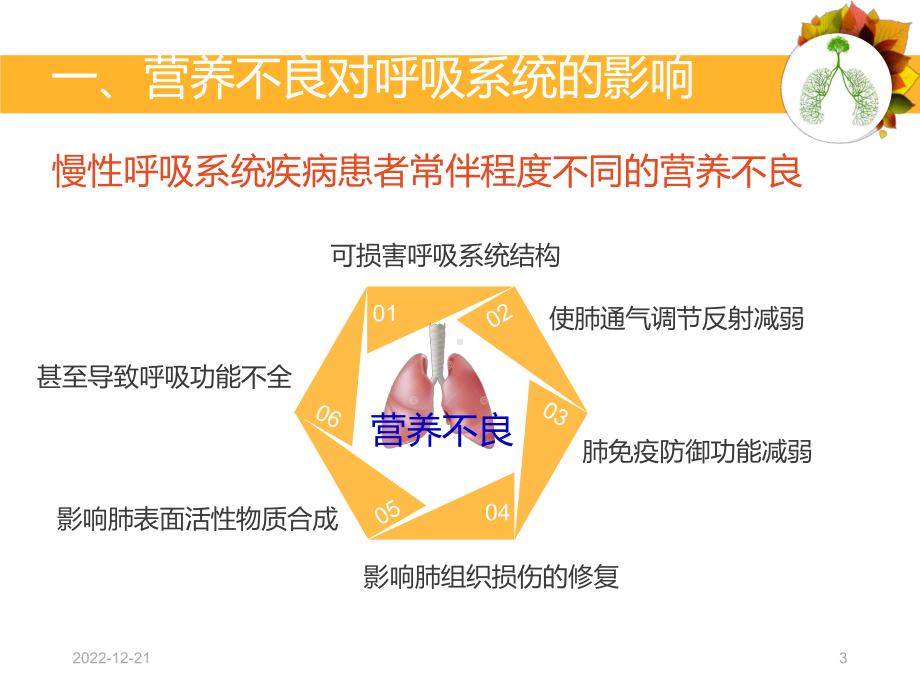 呼吸系统疾病与营养参考课件.ppt_第3页