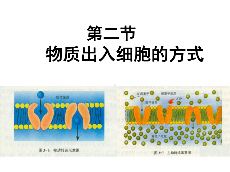 物质出入细胞的方式课件.ppt_第1页