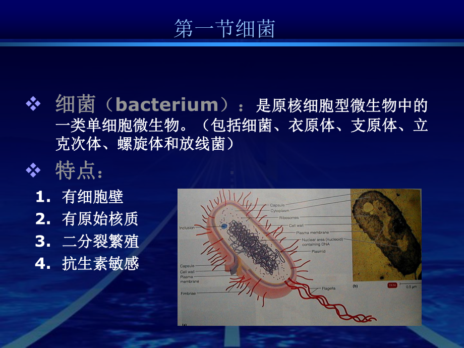 微生物生物性状课件.ppt_第3页