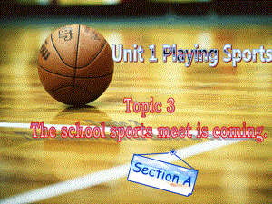 新仁爱版八年级英语上册Unit1-Playing-Sports-Topic-3-Section-A-课件.ppt（纯ppt,可能不含音视频素材）