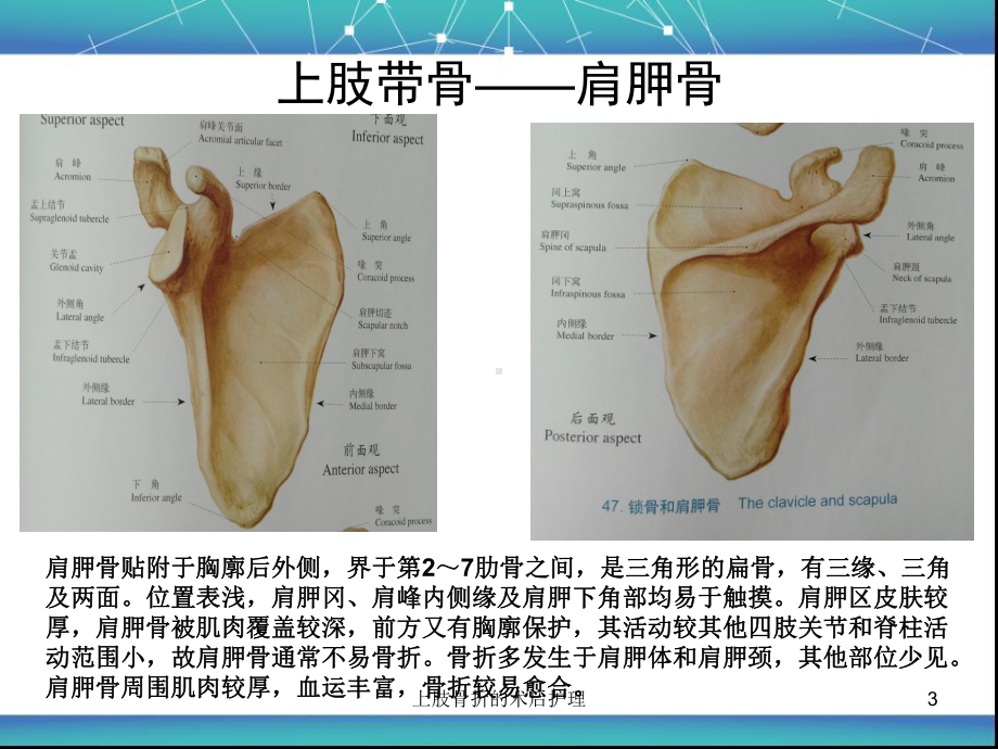 上肢骨折的术后护理课件.ppt_第3页