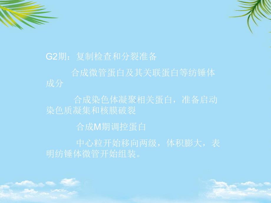 细胞周期的调控最全课件.ppt_第3页