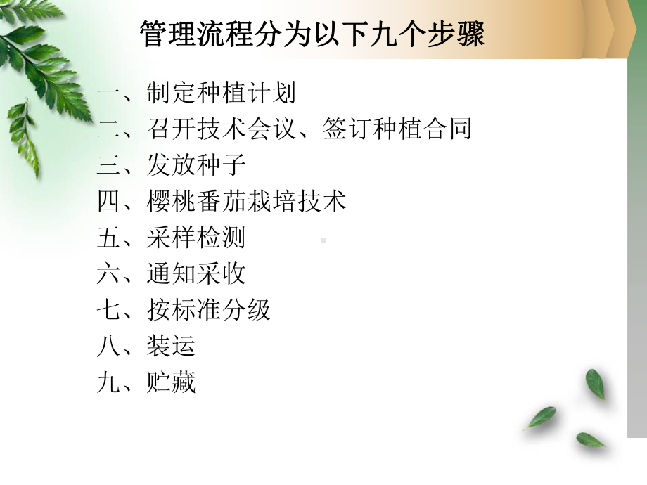 樱桃番茄栽培管理流程课件.ppt_第2页