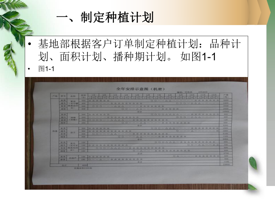 樱桃番茄栽培管理流程课件.ppt_第3页