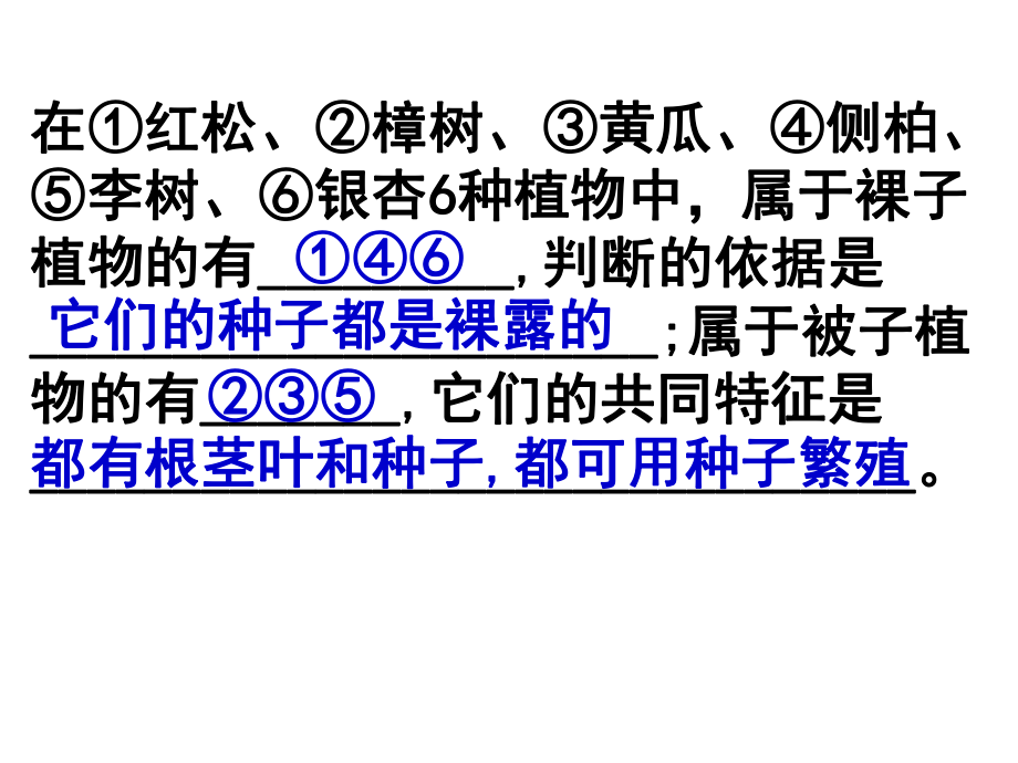 果实种子C根茎叶课件.ppt_第1页