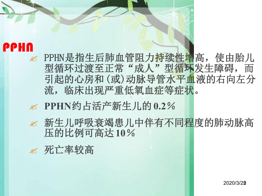 新生儿肺动脉高压诊治专家共识解读课件.ppt_第2页