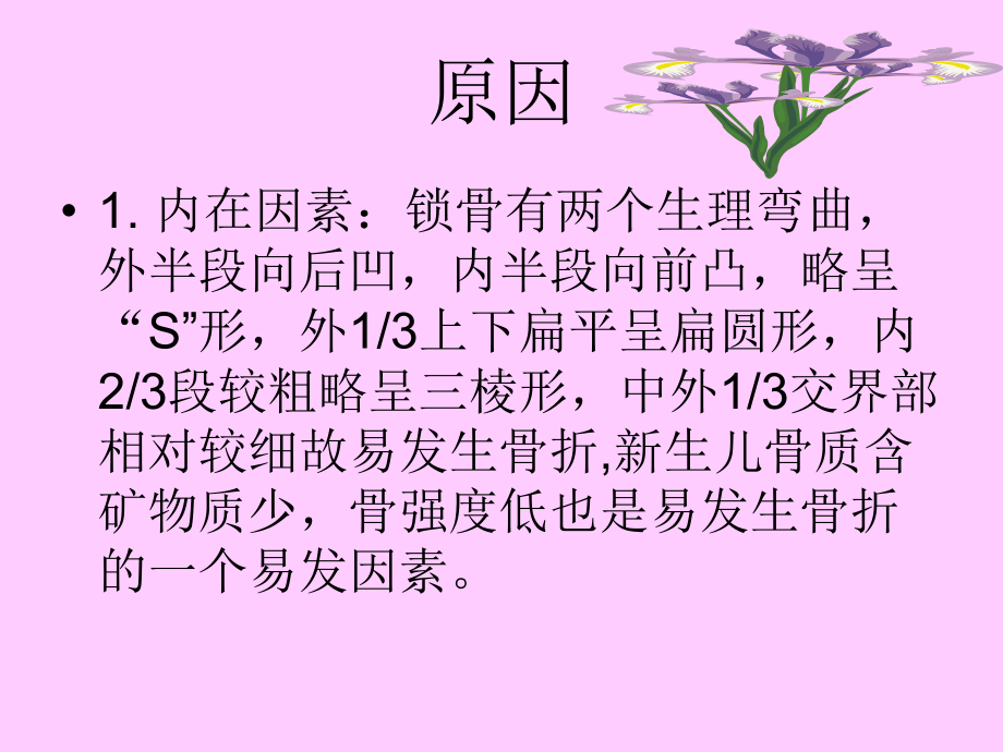 新生儿锁骨骨折2课件.ppt_第2页