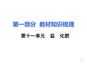 十一单元-盐、化肥总复习课件.ppt