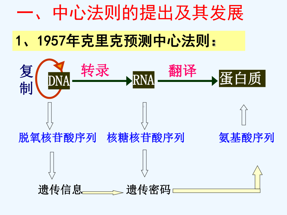 必修二基因对性状的控制课件.ppt_第2页