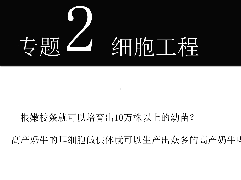 一瓣花瓣甚至一粒花粉同样可以得到大量的幼小植株课件.ppt_第1页