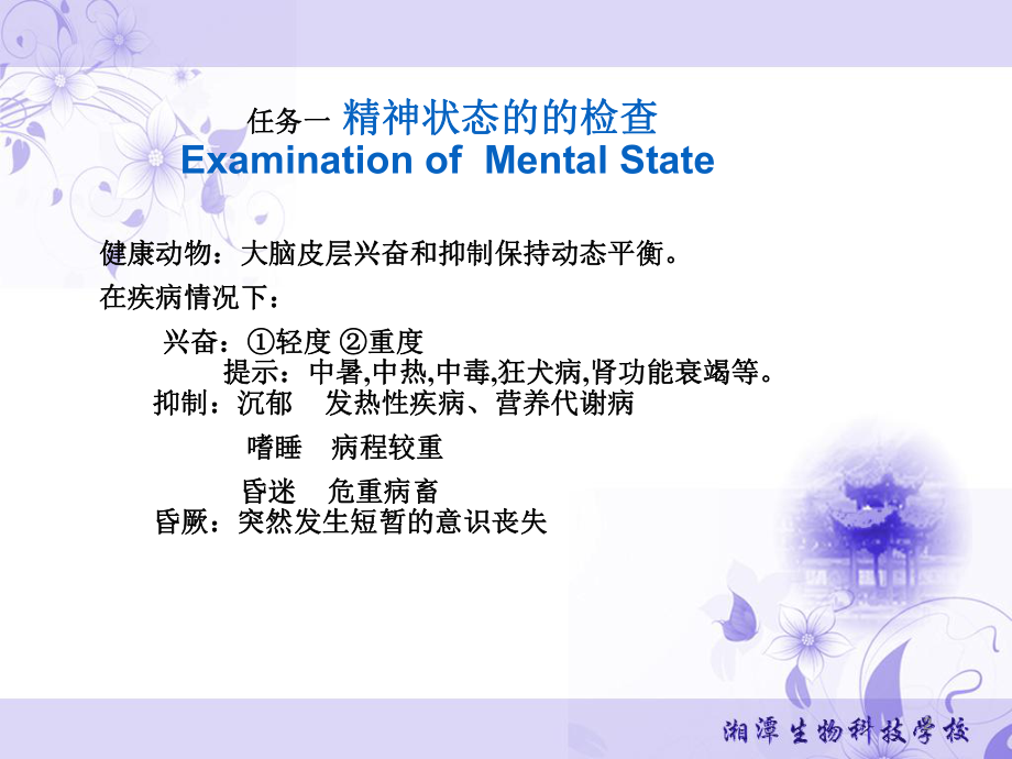 第八章神经系统的临床检查课件.ppt_第2页