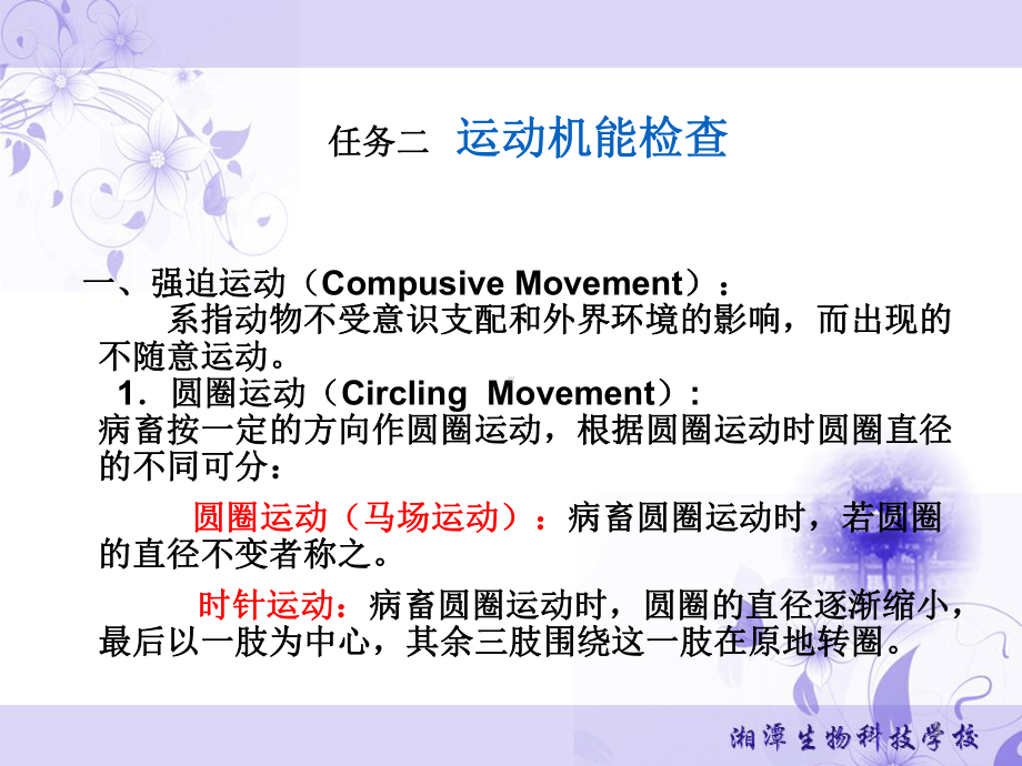 第八章神经系统的临床检查课件.ppt_第3页