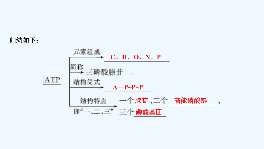 新高考生物(江苏专用)复习课件：第三单元-细胞的能量供应与利用-第8讲-.ppt_第3页