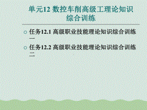 数控车削高级工理论知识综合训练课件.ppt