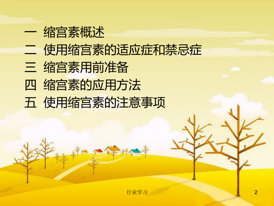 缩宫素的应用[知识浅析]课件.ppt_第2页