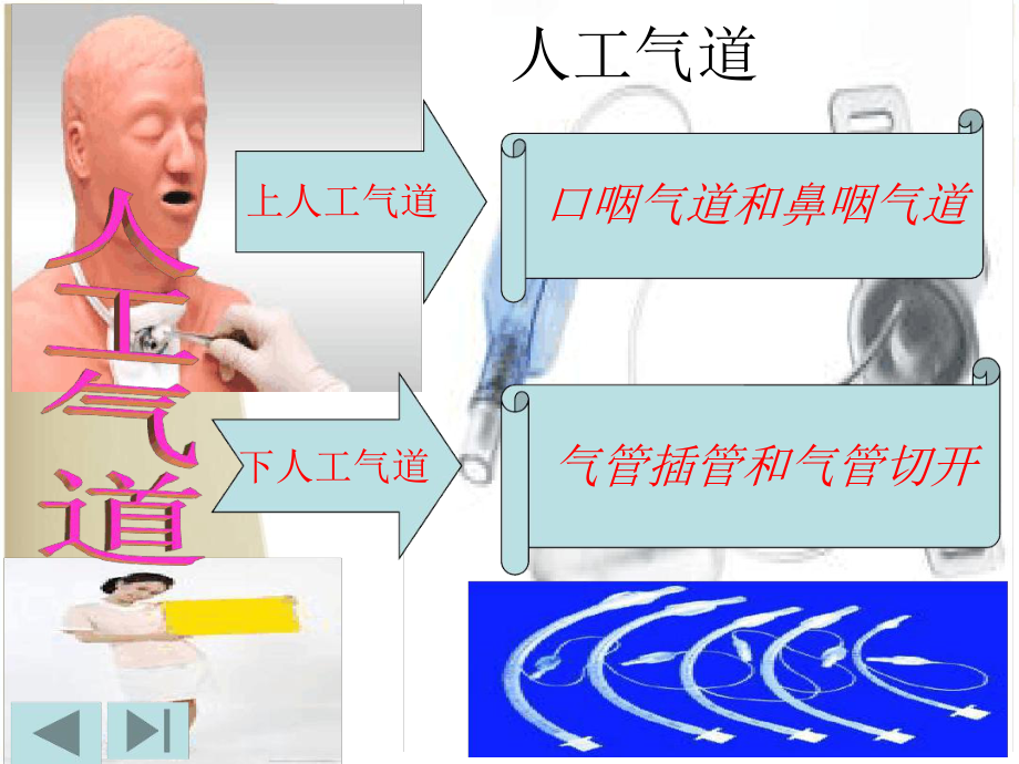 气管插管及切管护理课件.ppt_第3页