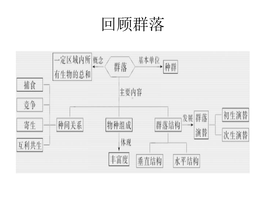 生态系统的结构能量流动课件.ppt_第2页