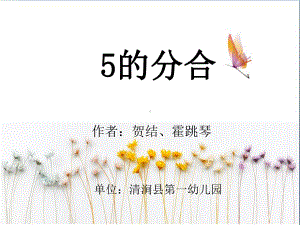 大班科学《5的分合》微课件.pptx