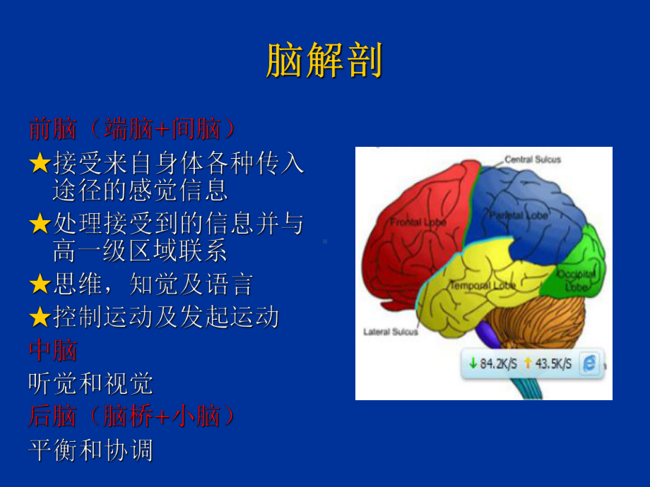 脑卒中偏瘫的康复评定演示教学课件.ppt_第3页