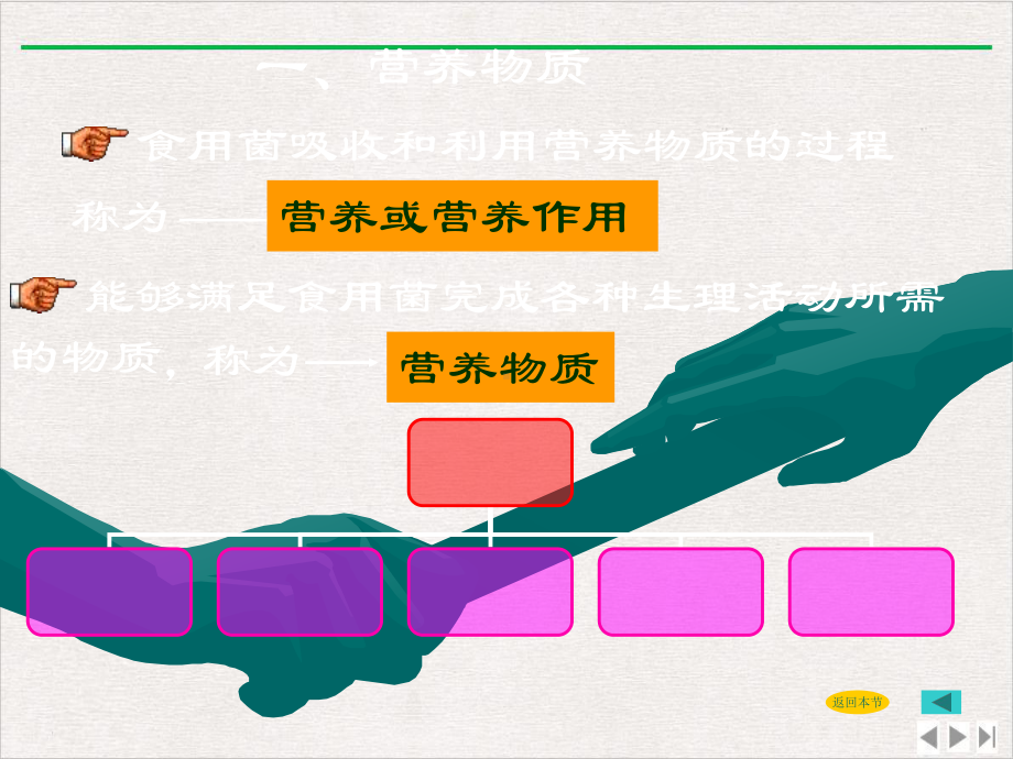 食用菌生理生态精选课件.pptx_第1页