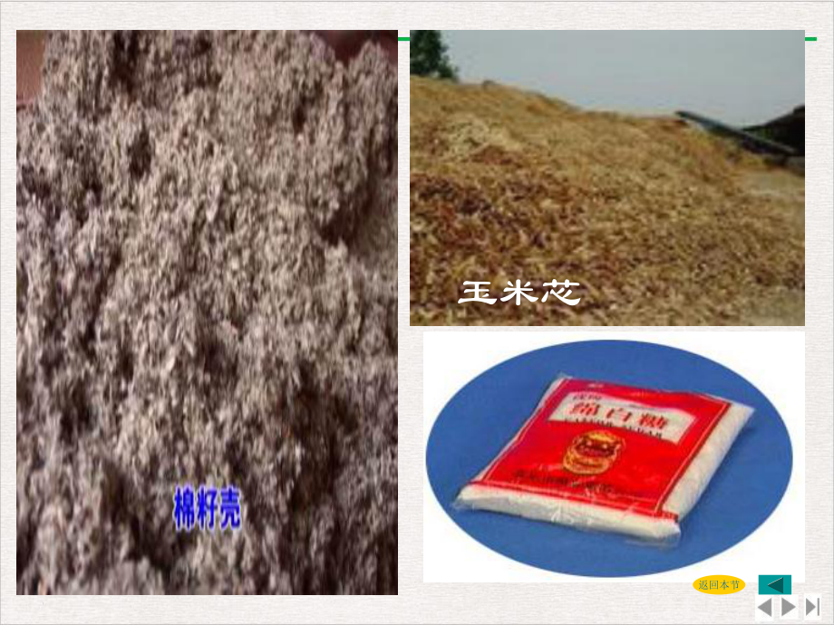 食用菌生理生态精选课件.pptx_第3页