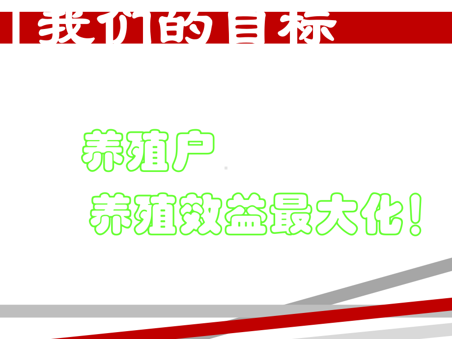 蛋鸡饲料的数字营销课件.ppt_第2页