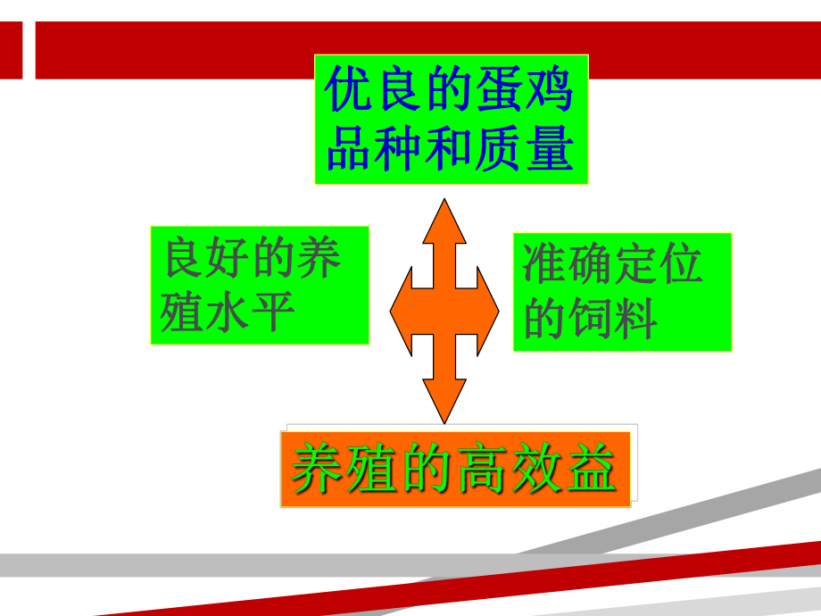 蛋鸡饲料的数字营销课件.ppt_第3页