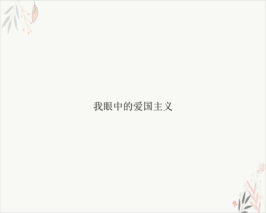 我眼中的爱国主义课件-.ppt_第1页