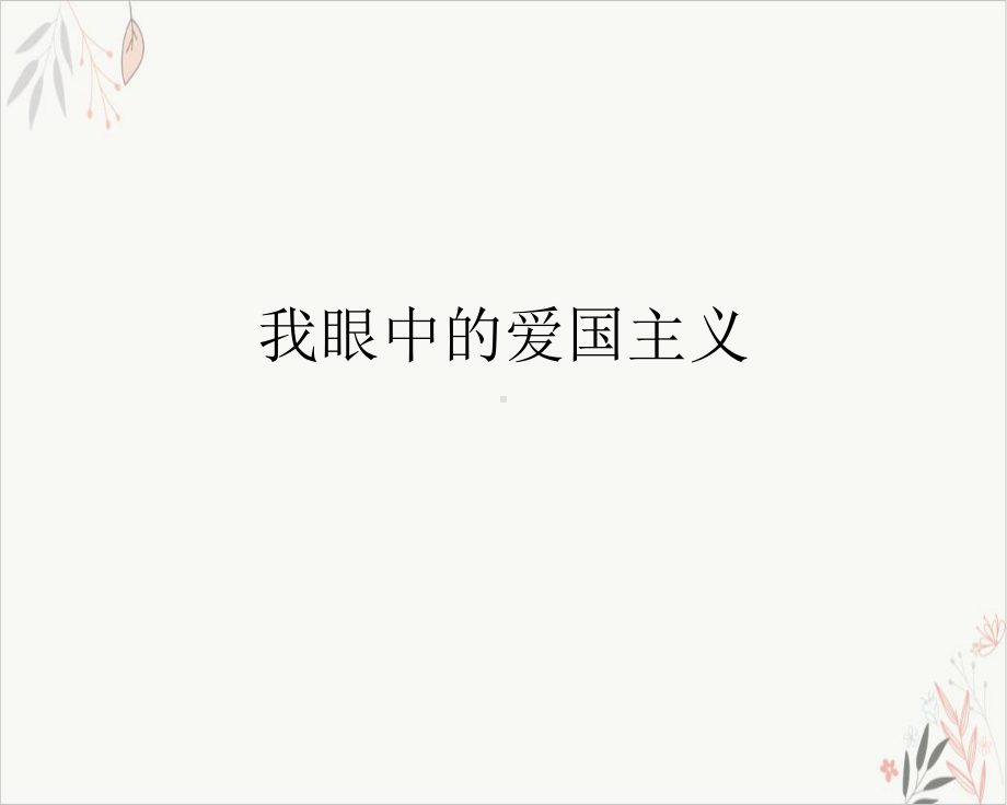 我眼中的爱国主义课件-.ppt_第2页