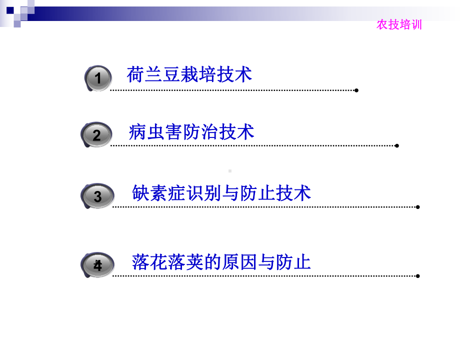 荷兰豆种植技术资料课件.ppt_第3页