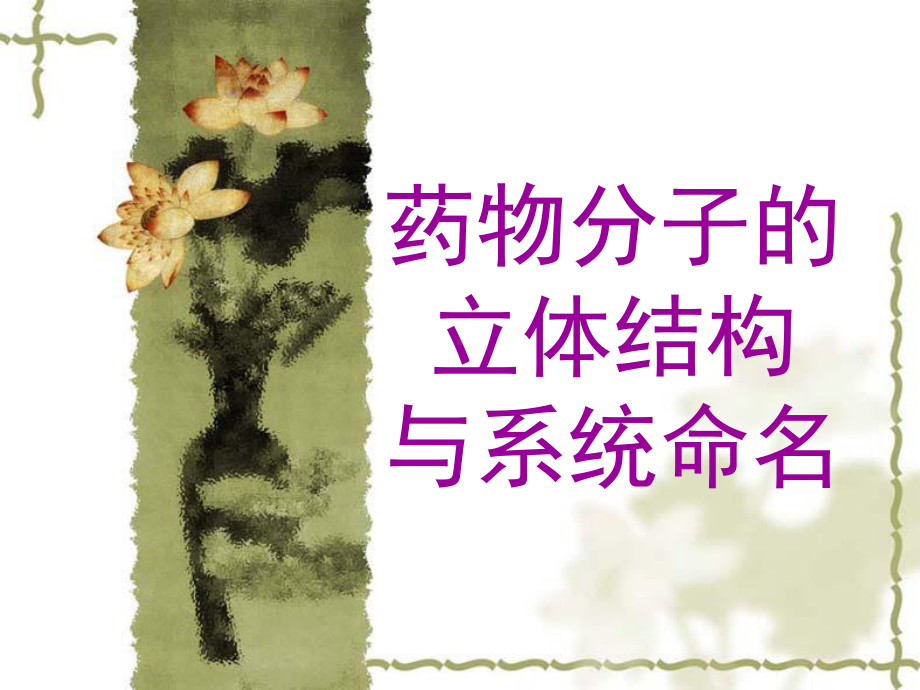 药学之药物立体结构与系统命名课件.ppt_第1页