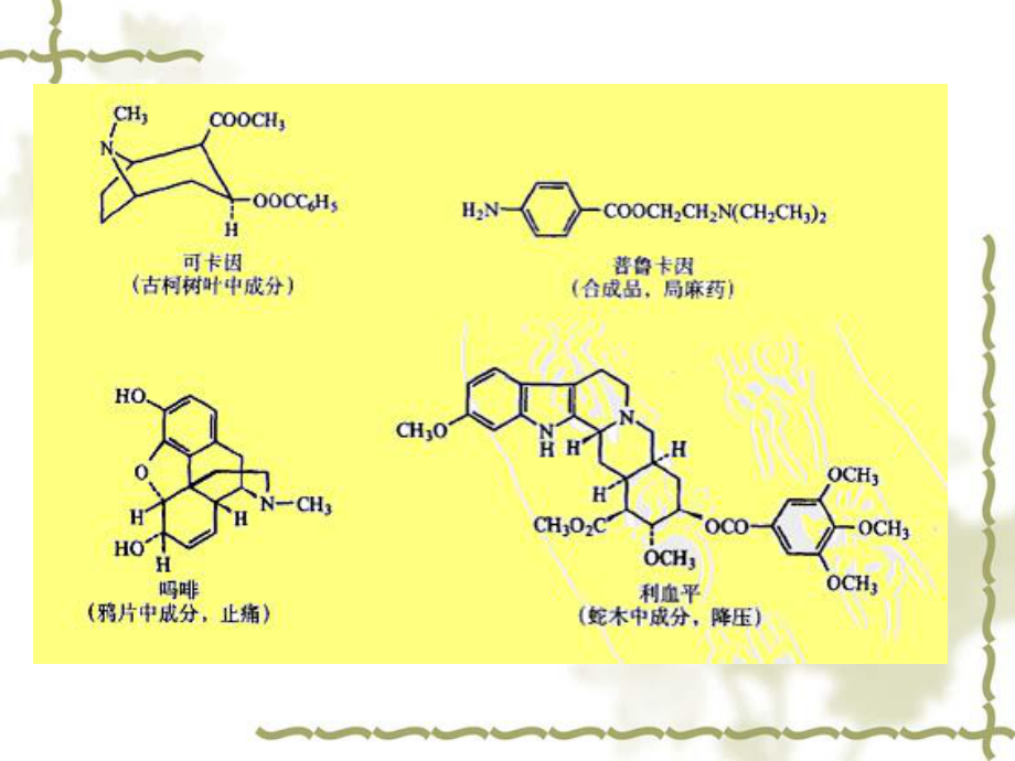 药学之药物立体结构与系统命名课件.ppt_第2页