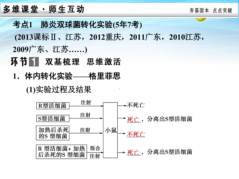 高考生物总复习-DNA是主要的遗传物质课件.ppt_第3页