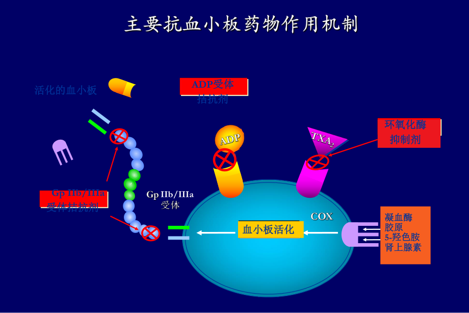 最新GP-IIb-IIIa-受体拮抗剂研究新进展09[1]1110课件.ppt_第3页