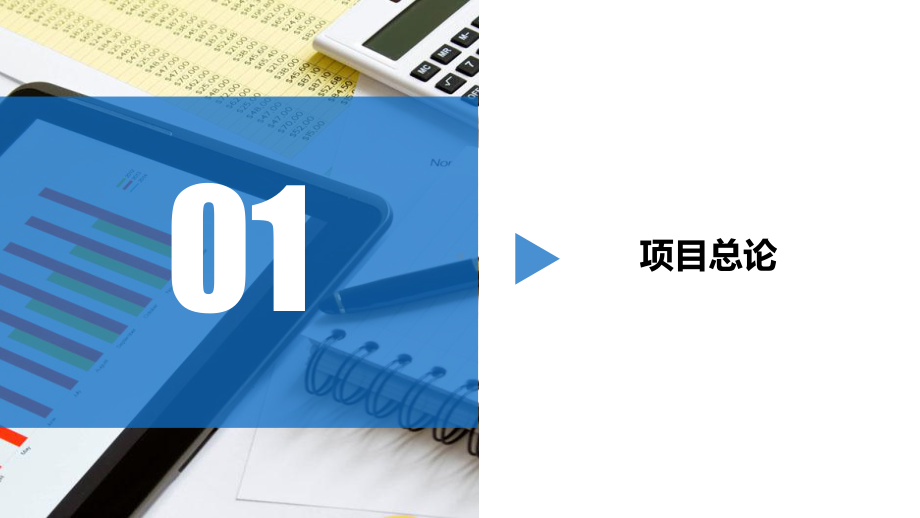 项目可行性研究汇报模板精美模板课件.pptx_第3页