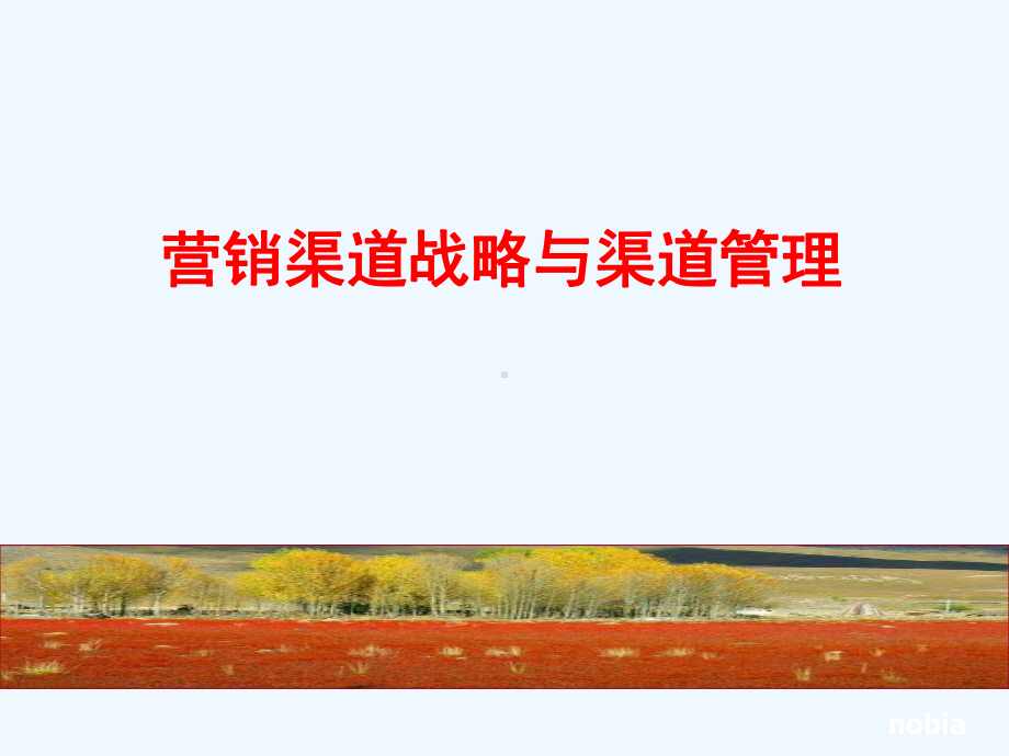 营销渠道战略与渠道管理课件.ppt_第1页