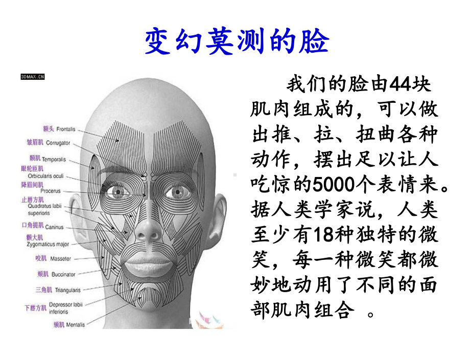 第七课 身体 会说话—解读肢体语言（ppt课件）-2022新辽大版四年级下册《心理健康教育》.ppt_第2页