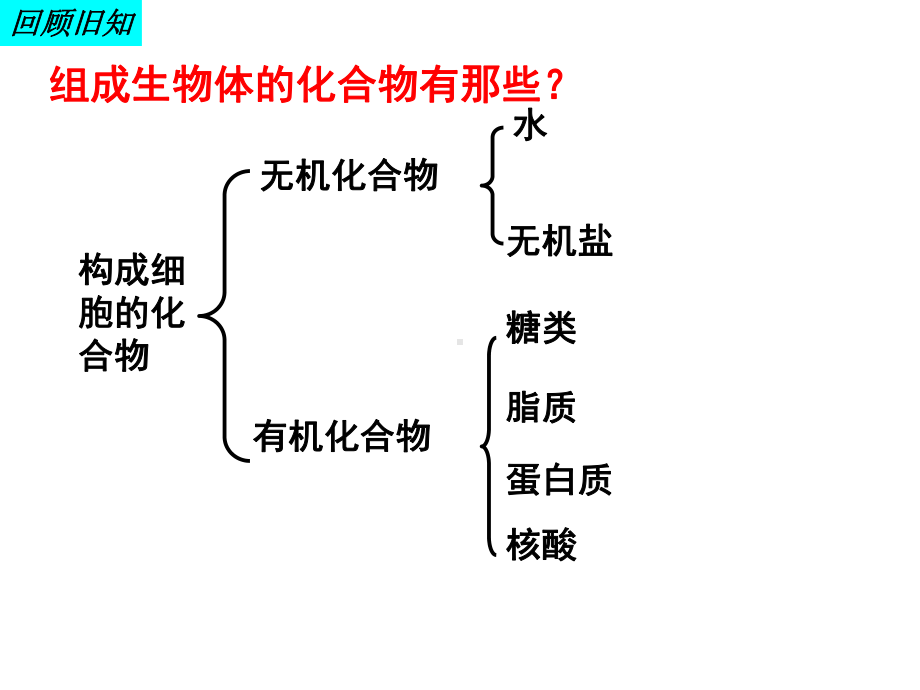 细胞中的生物大分子课件.ppt_第1页