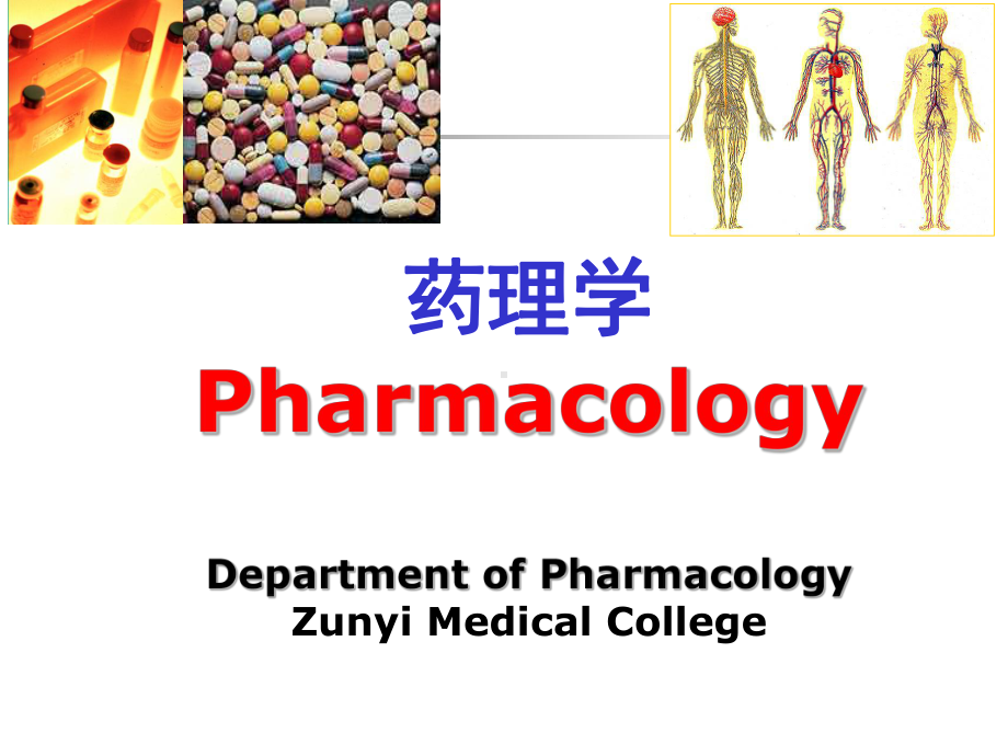 药理学总论-绪言课件.ppt_第1页