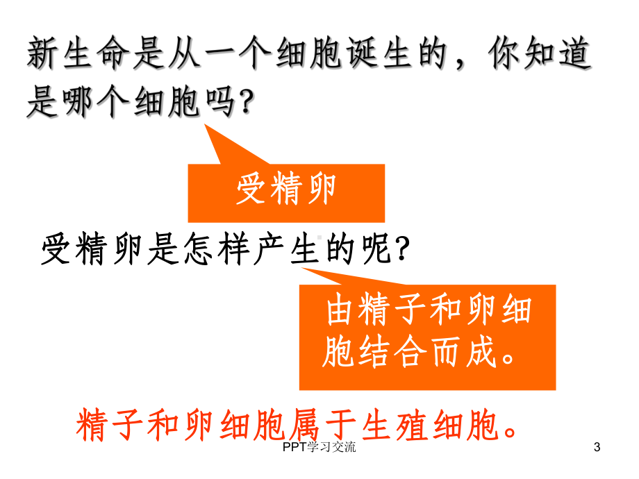 新生命的诞生课件.ppt_第3页