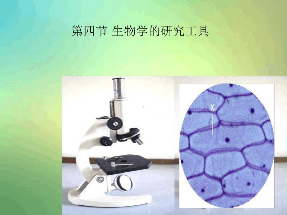 济南版七年级上册第四节生物学的研究工具3课件.ppt_第2页