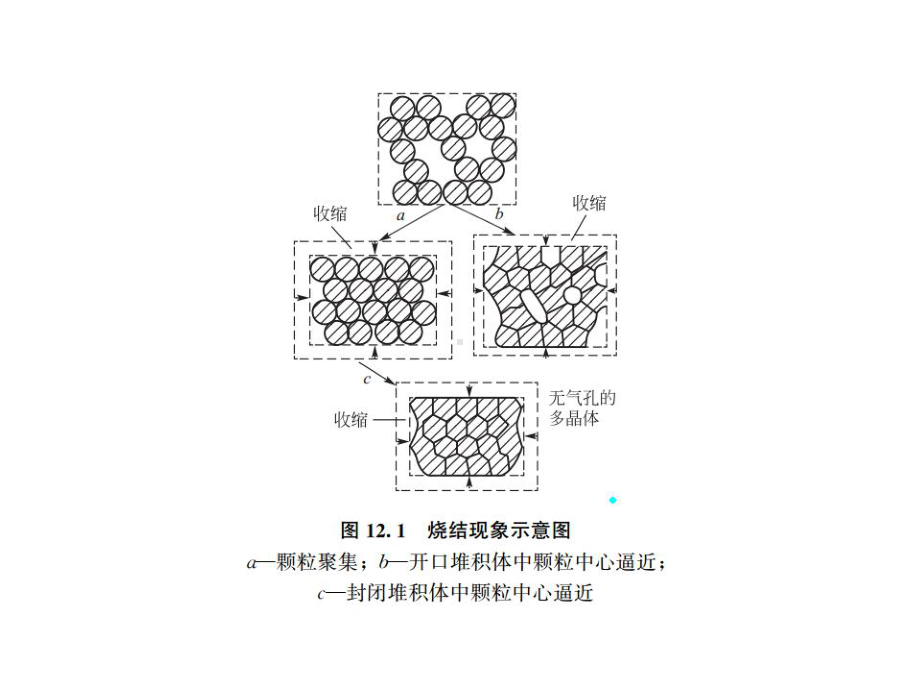 无机非金属材料科学基础课件-第12章-烧结过程.ppt_第3页