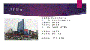 西安赛格国际购物中心市场调查报告资料课件.ppt