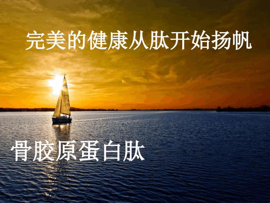 胶原蛋白肽课件.ppt_第1页