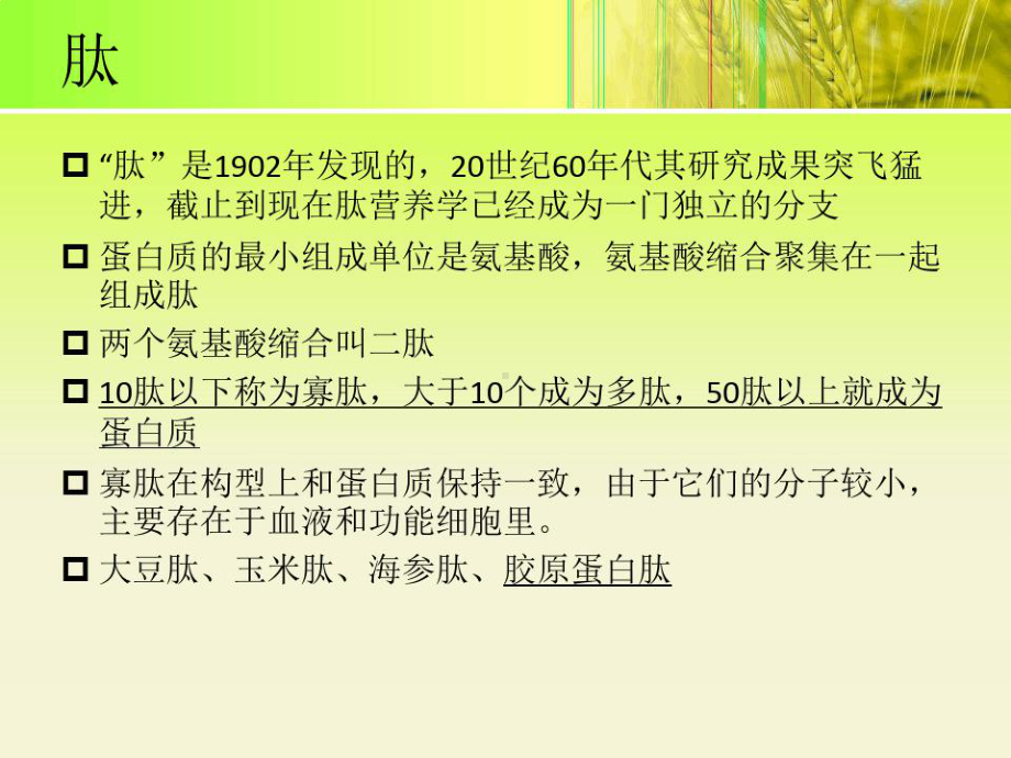 胶原蛋白肽课件.ppt_第2页