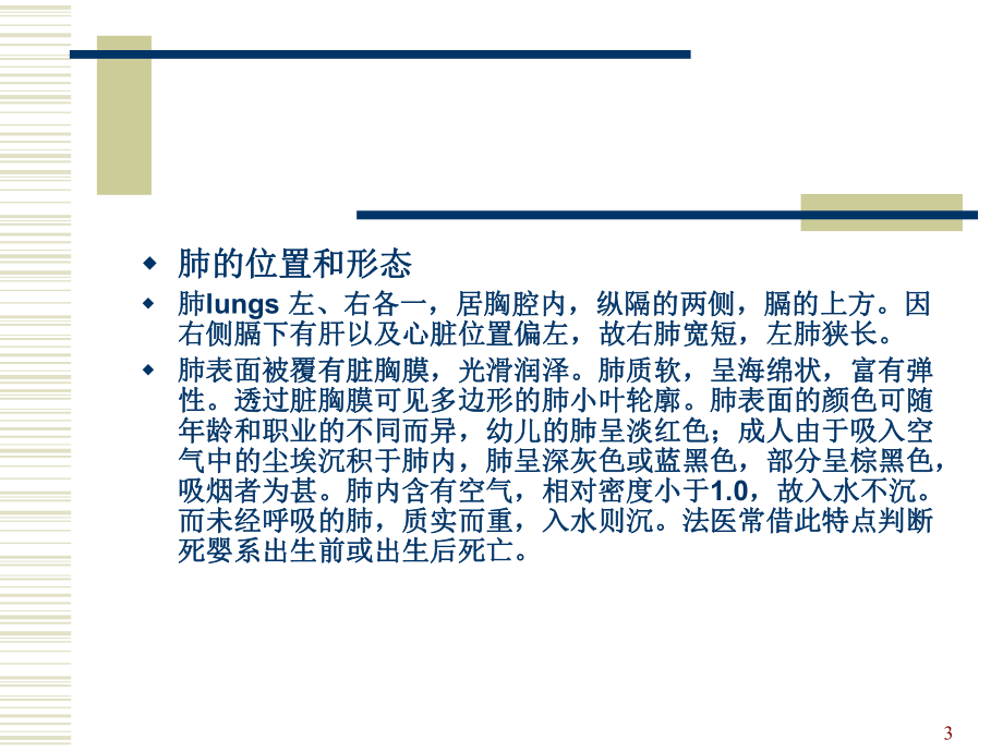 肺的解剖及分段学习课件.ppt_第3页